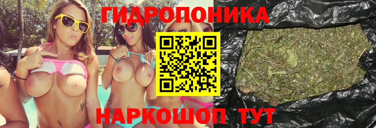 Конопля OG Kush Абинск